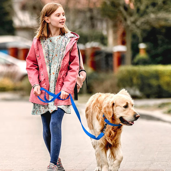 longe pour chien marche bleu