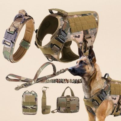 harnais anti traction chien camouflage