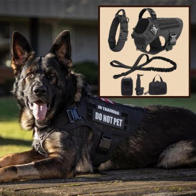 Harnais anti traction chien | ensemble tactique pour chien - Chiens et Compagnons