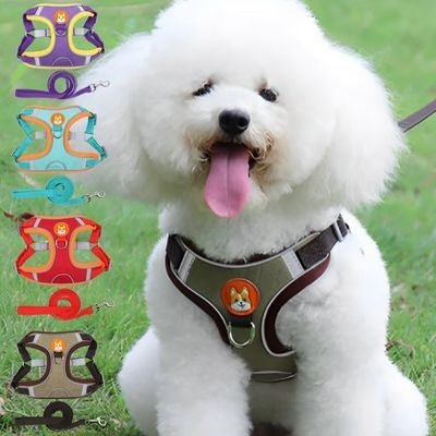 Harnais anti traction chien | FunnyHarness - Chiens et Compagnons