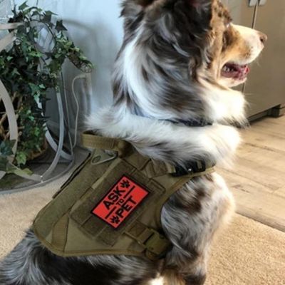 Harnais anti traction chien | Gilet d'entraînement tactique grand chien - Chiens et Compagnons