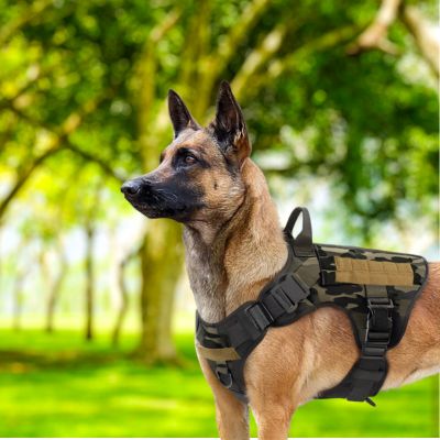 Harnais anti traction chien | Gilet d'entraînement tactique grand chien - Chiens et Compagnons