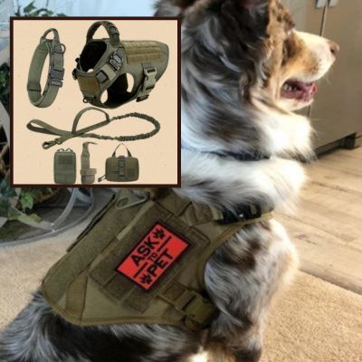 harnais anti traction chien vert