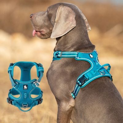 Harnais chien anti traction | Happydog Grand chien - Chiens et Compagnons