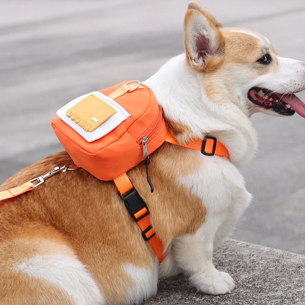 harnais chien | CutieBackPack™ - Chiens et Compagnons