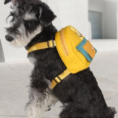 harnais chien | CutieBackPack™ - Chiens et Compagnons