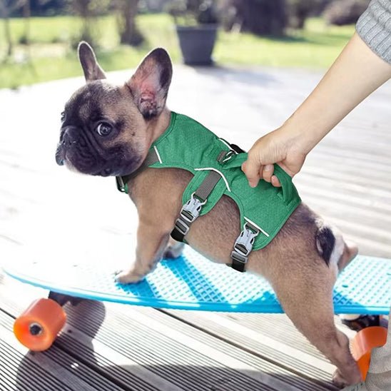 Harnais chien | Triple sangle - Chiens et Compagnons