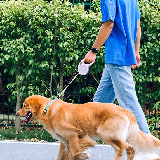 Laisse pour chien enrouleur | Pawrope - Chiens et Compagnons