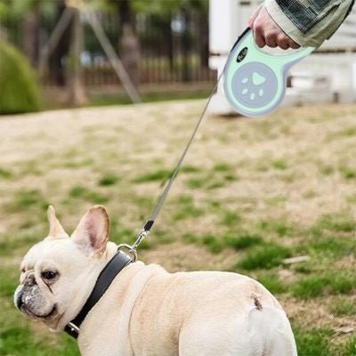 Laisse pour chien enrouleur | Pawrope - Chiens et Compagnons