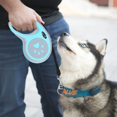 Laisse pour chien enrouleur | Pawrope - Chiens et Compagnons