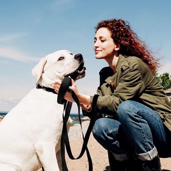 Longe pour chien | pvc dressage - Chiens et Compagnons