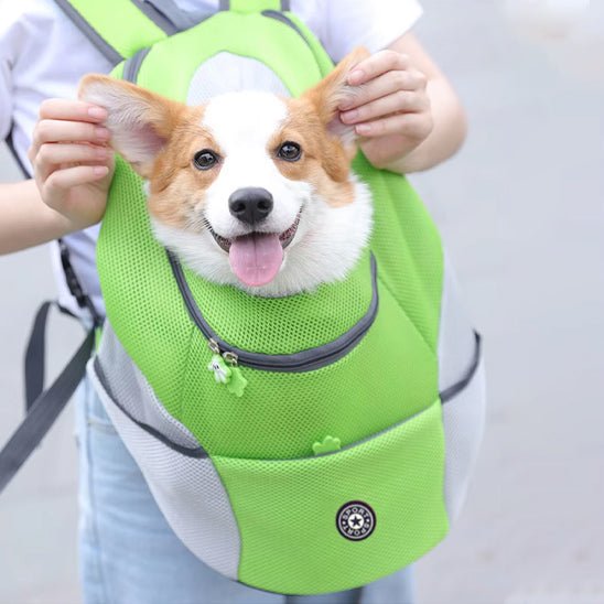 Sac de transport pour chien | Backpackdog - Chiens et Compagnons