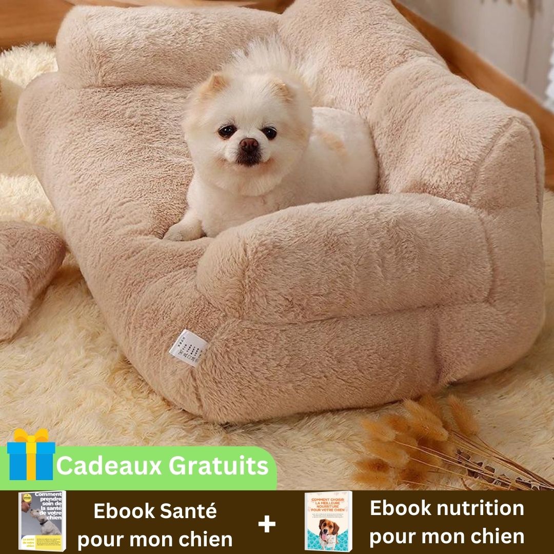 Canapé pour chien SweetCouch ™ Chiens et Compagnons
