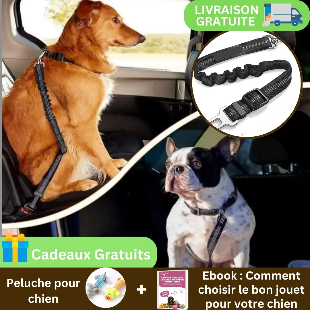 BeltPet™ - Ceinture de siège pour animal de compagnie - Chiens et Compagnons