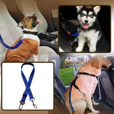 BeltPet™ - Ceinture de siège pour animal de compagnie - Chiens et Compagnons