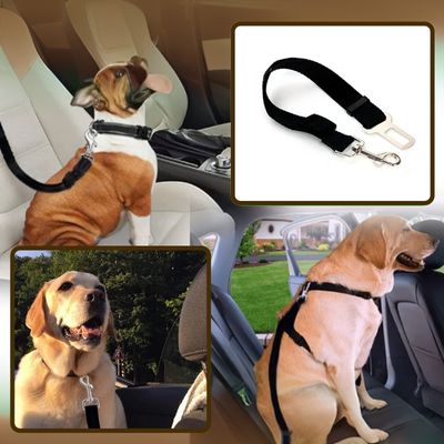 BeltPet™ - Ceinture de siège pour animal de compagnie - Chiens et Compagnons