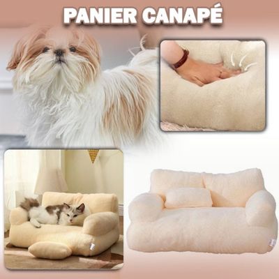 Canapé pour chien | SweetCouch ™ - Chiens et Compagnons