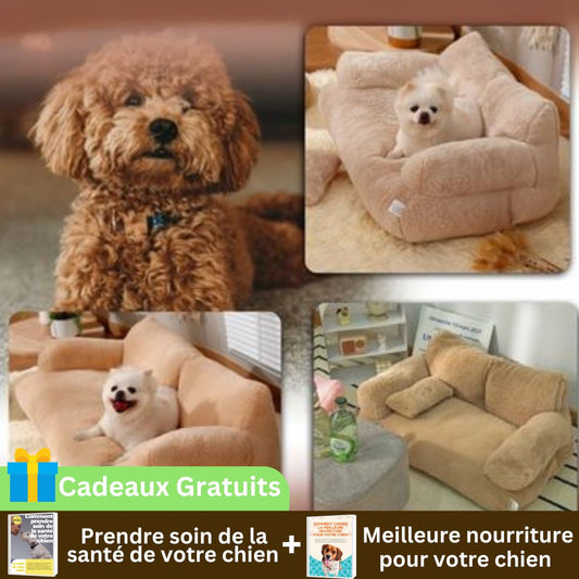 Canapé pour chien | SweetCouch ™ - Chiens et Compagnons