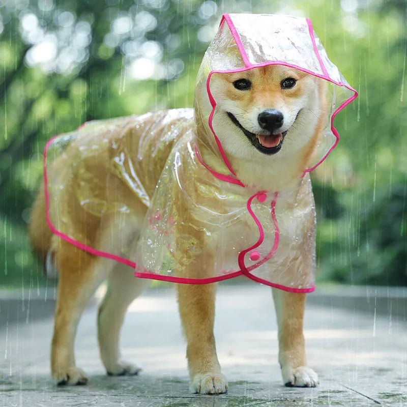 Cap imperméable pour chien | FunnyRain™ - Chiens et Compagnons