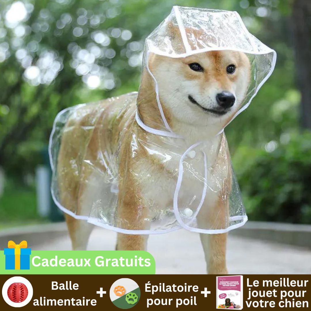 Cap imperméable pour chien | FunnyRain™ - Chiens et Compagnons