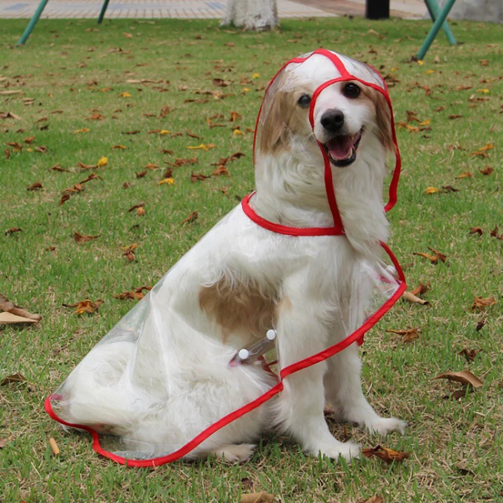 Cap imperméable pour chien | FunnyRain™ - Chiens et Compagnons