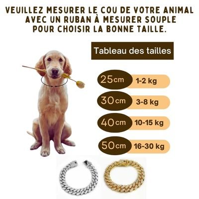 Chaîne luxueuse | kingDog™ - Chiens et Compagnons