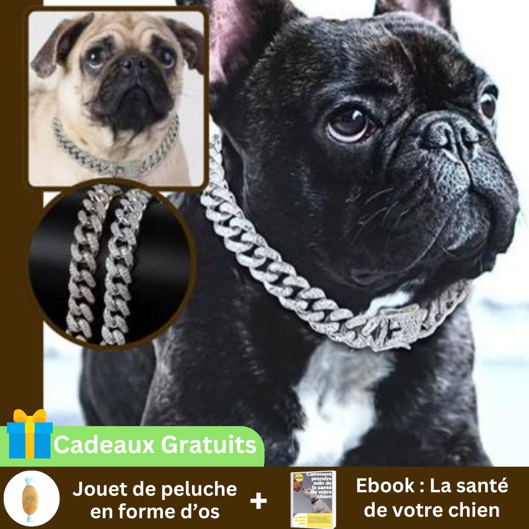 Chaîne luxueuse | kingDog™ - Chiens et Compagnons