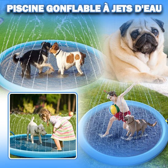 DoggySwim™ | Jeu d'eau pour chien - Chiens et Compagnons