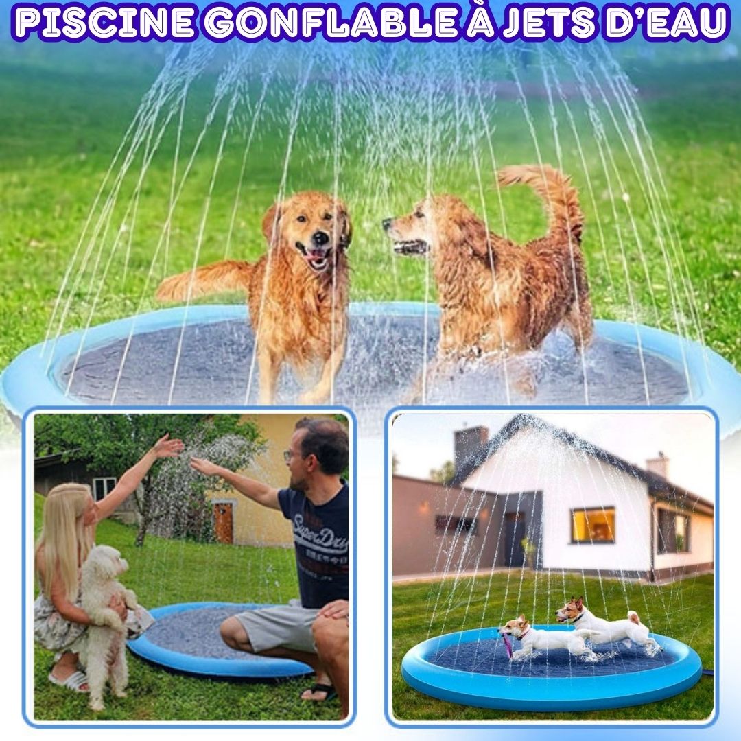 DoggySwim™ | Jeu d'eau pour chien - Chiens et Compagnons