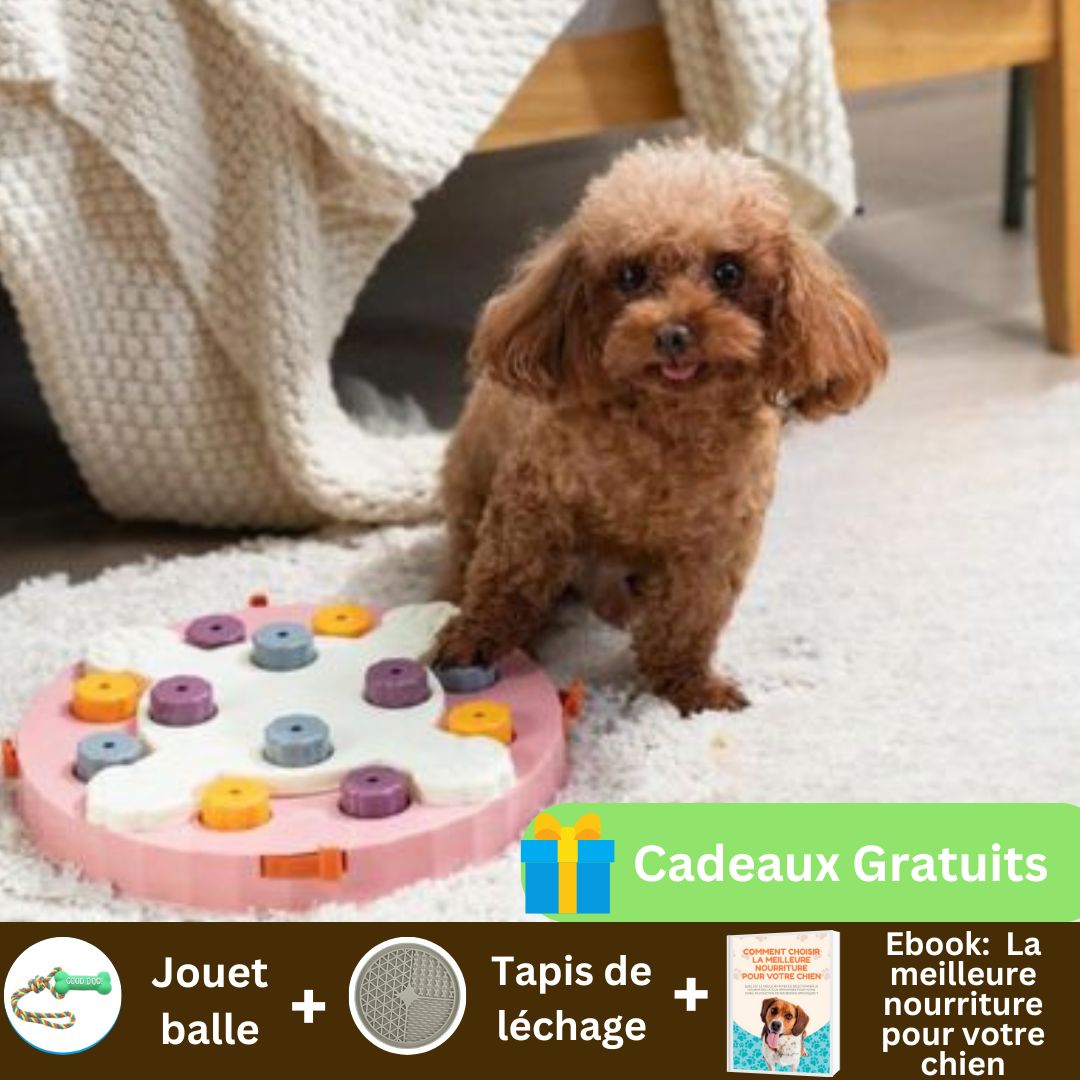 Gamelle interactive pour chien |FunPuzzle™ - Chiens et Compagnons