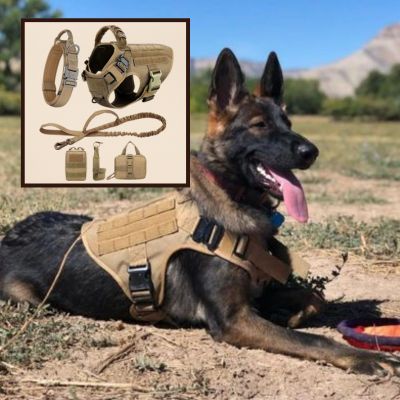 Harnais anti traction chien | ensemble tactique pour chien - Chiens et Compagnons