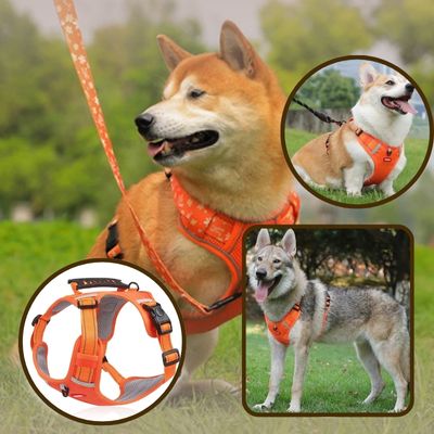 Harnais anti-traction | SafeWalk™ - Chiens et Compagnons