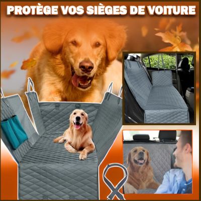 Housse d'auto BestCarSaver™ - Chiens et Compagnons