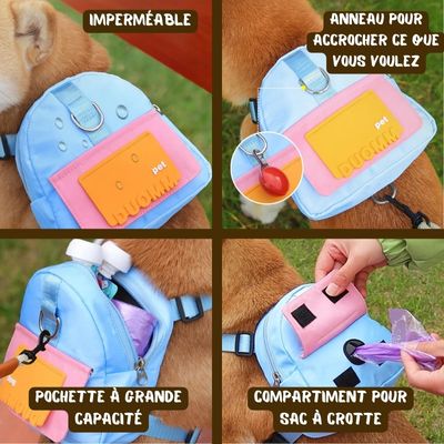 Sac à dos pour chien | CutieBackPack™ - Chiens et Compagnons