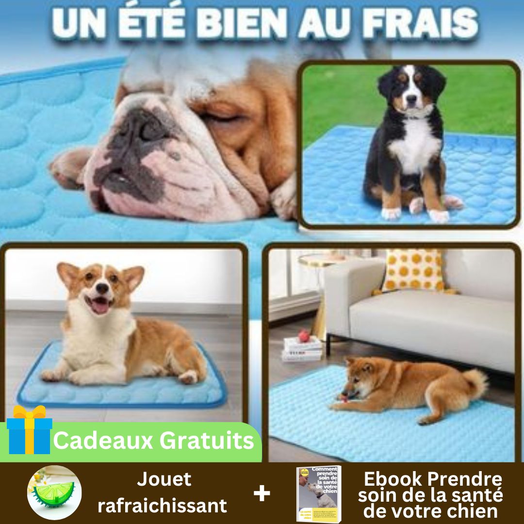 Tapis rafraichissant | CoolPad™ - Chiens et Compagnons