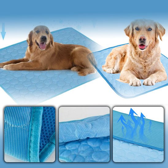 Tapis rafraichissant pour animaux de compagnies | CoolPad™ - Chiens et Compagnons