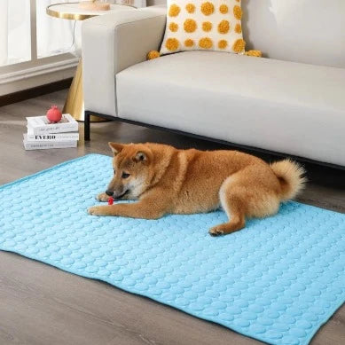 Tapis rafraichissant pour animaux de compagnies | CoolPad™ - Chiens et Compagnons