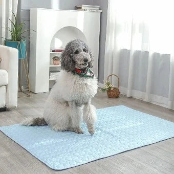 Tapis rafraichissant pour animaux de compagnies | CoolPad™ - Chiens et Compagnons