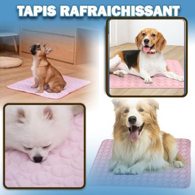 Tapis rafraichissant pour animaux de compagnies | CoolPad™ - Chiens et Compagnons