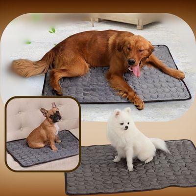 Tapis rafraichissant pour animaux de compagnies | CoolPad™ - Chiens et Compagnons