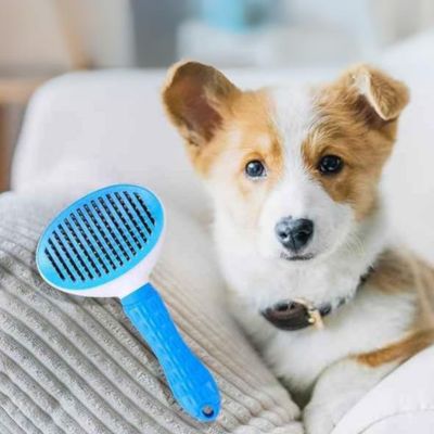 Brosse autonettoyante | EasyClean ™ - Chiens et Compagnons