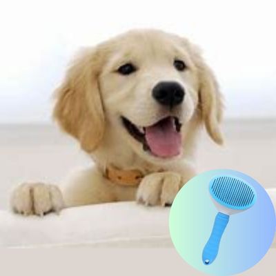 Brosse autonettoyante | EasyClean ™ - Chiens et Compagnons