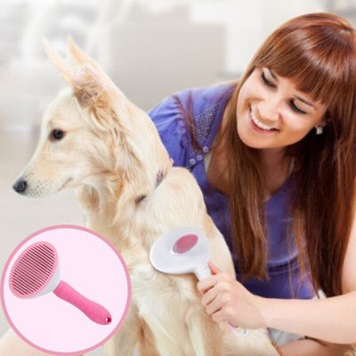 Brosse autonettoyante | EasyClean ™ - Chiens et Compagnons