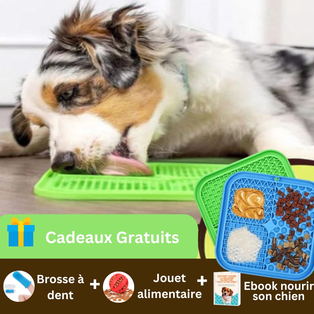 Tapis de léchage | Slowfeeder™ - Chiens et Compagnons